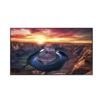 Pantalla Profesional LED de 75", UHD 4K (3840x2160p), Entradas de Video HDMI/DisplayPort, Bocinas Integradas de 10 W. Compatible VESA. Modo de Simulación DICOM