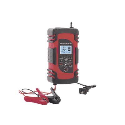 Cargador de Baterías / 12 o 24 Vcc / hasta 40 Ah / 2, 4 o 6 A / Display LCD