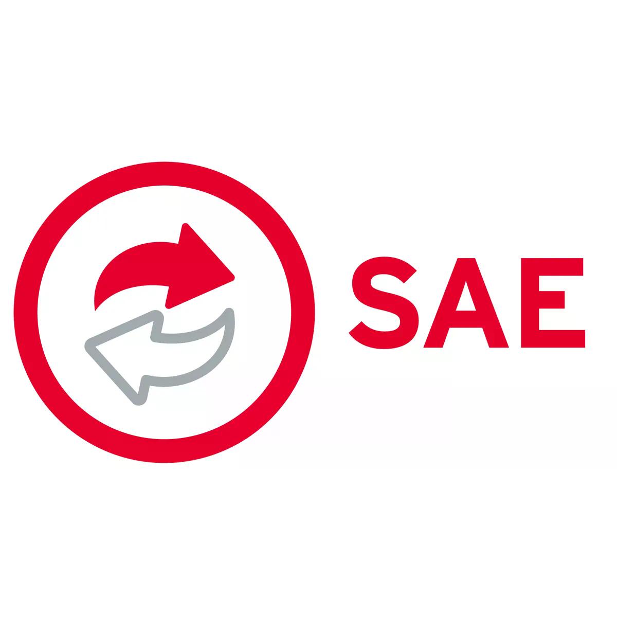 SIIGO ASPEL ACT. 2 USUARIOS ADICIONALES SAE 10 (FISICO) (SAEL2AN)