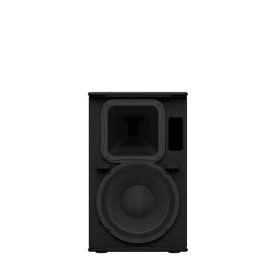 Altavoz de Montaje en Superficie de 2 vias | Woofer 10'' | Tweeter 1.4" | 8ohms | Color Negro | 350W | Gabinete de Madera