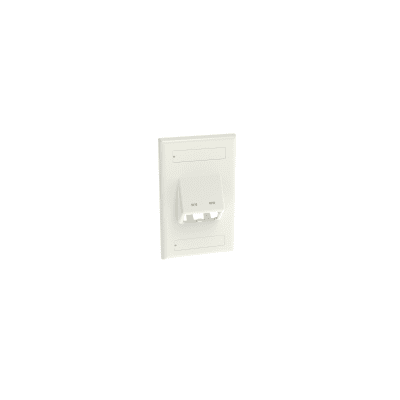 Placa de Pared Vertical Clásica, Salida Para 2 Puertos Mini-Com Inclinados, Con Espacios Para Etiquetas, Color Blanco
