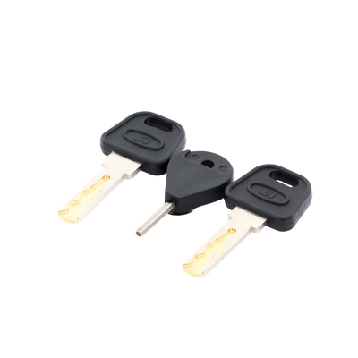 Llave de Puerta de Estación de Panico DS-PEA3M-21 / DS-PEA3M-21Hï»¿ (Repuesto)