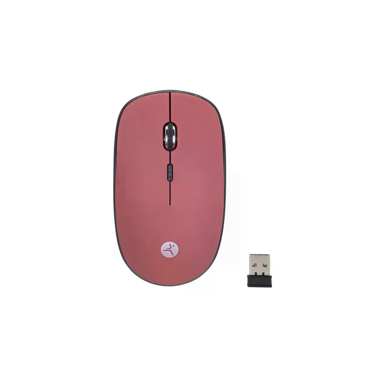 MOUSE ERGONOMICO TECHZONE TZMOUINA03 INALAMBRICO USB 1200DPI ROJO
