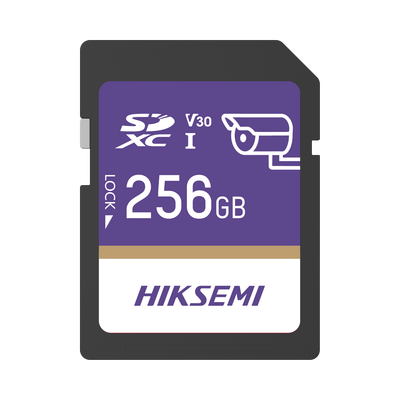 Memoria SD Clase 10 de 256 GB / Especializada Para Videovigilancia