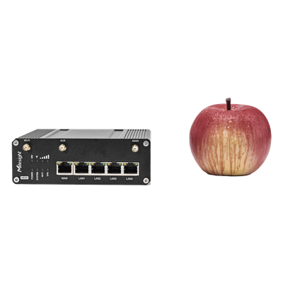 Router Celular Industrial 4G LTE / WiFi y Puertos Ethernet / VPN para IoT y M2M / Gestión Remota / Telemetría para BMS - Imagen 4