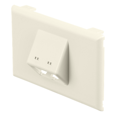 Placa de Pared Horizontal / 2 Puertos Mini-Com / 69.8 x 114.3 mm / PVC / Blanco Mate / ROHS