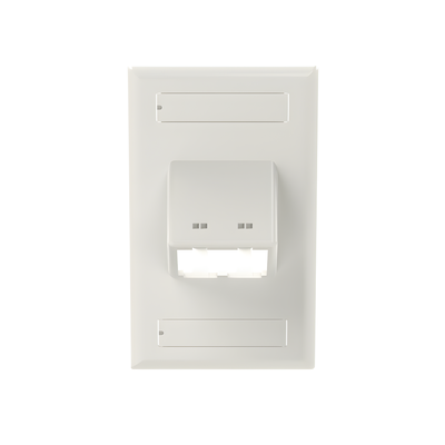 Placa de Pared Vertical Clásica, Salida Para 2 Puertos Mini-Com Inclinados, Con Espacios Para Etiquetas, Color Blanco - Imagen 3