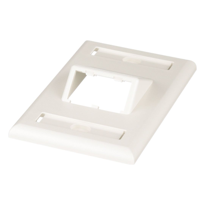 Placa de Pared Vertical Clásica, Salida Para 2 Puertos Mini-Com Inclinados, Con Espacios Para Etiquetas, Color Blanco Mate - Imagen 4
