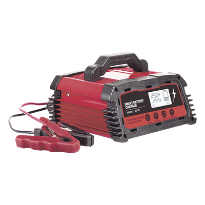 Cargador de Baterías / 12 o 24 Vcc / hasta 250 Ah / 25 A / Display LCD 