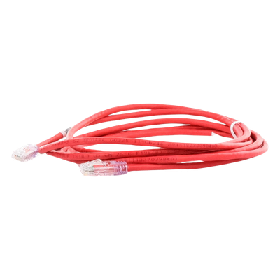 Cable de Parcheo UTP Categoría 6, con Plug Modular en Cada Extremo - 3 Metros (9.84 Pies) - Rojo - Imagen 5
