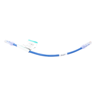 Cable de Parcheo UTP Categoría 6, con Plug Modular en Cada Extremo - 0.3 Metros (1 Pie) - Azul - Imagen 5