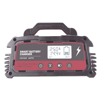 Cargador de Baterías / 12 o 24 Vcc / hasta 250 Ah / 25 A / Display LCD - Imagen 6