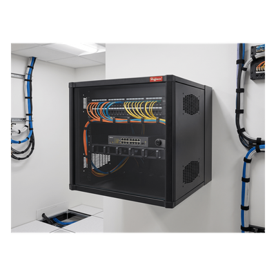 Gabinete AccessPlus de 12 UR Montaje en Pared de 19in, Rieles Numerados y Roscados #10-32, Puerta con Ventana de Seguridad, 600 mm de Ancho, 637 mm de Profundidad, Color Negro - Imagen 3