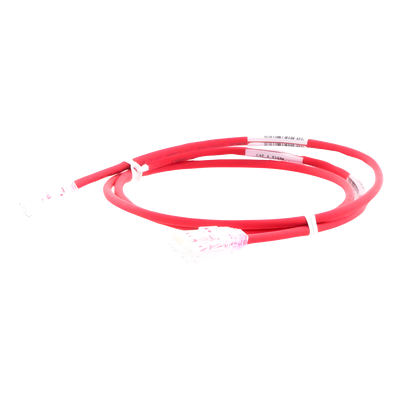 Cable de Parcheo TX6, UTP Cat6, Diámetro Reducido (28AWG), Color Rojo, 0.91 Metros (3 Pies) - Imagen 3