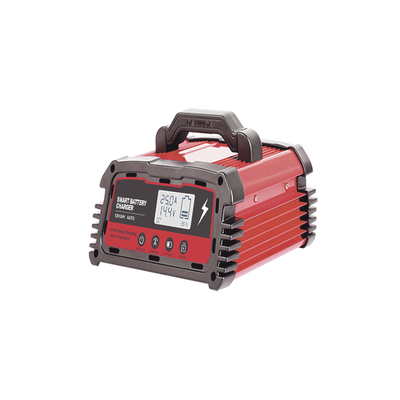 Cargador de Baterías / 12 o 24 Vcc / hasta 250 Ah / 25 A / Display LCD - Imagen 4